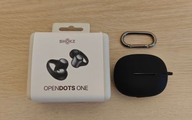 Shokz OpenDots One (black)