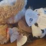 Collection of Beanie Babies Image 2