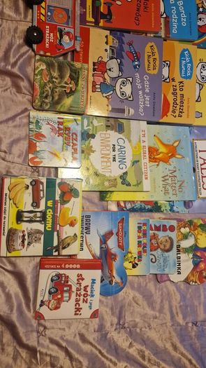 Polish books