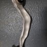 Bmw 520d G30 track control arm Image 2