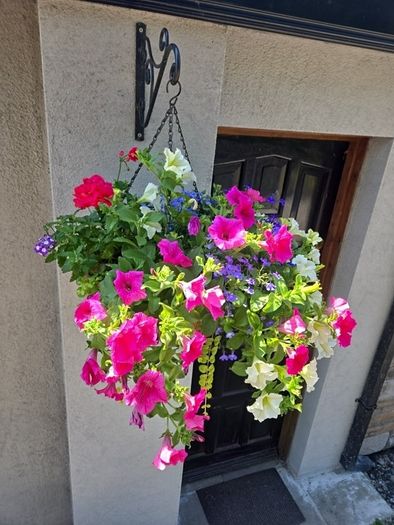 Hanging basket