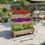 3 Tier Planter 125 each or 2 for 200 Image 7