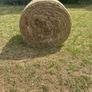 Hay bales Image 3