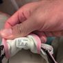 vans size 43 Image 4