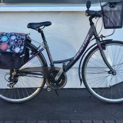 Ladies bentini bike panniers and basket included