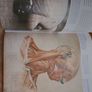 Art Books Reduced Image 7