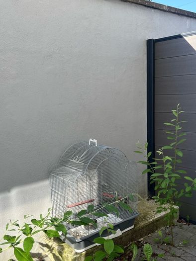 Large bird cage