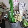 Artificial plants Image 4