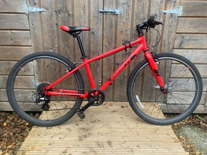 Kids Giant bike
