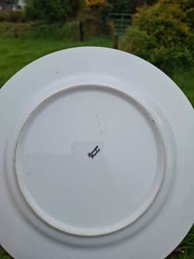 Limoges porcelain  plate postage possible