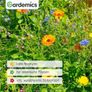 Large Pack 50g Wild Flower Mixed seeds for 50sq.m Image 3