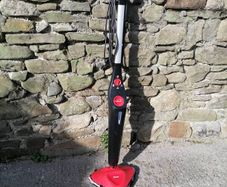 Vileda steam mop