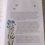 Rewild Your Garden 2020 by Frances Tophill from BBC's Gardeners World hardback in excellent condition with FREE STANDARD POSTAGE INCLUDED Image 7