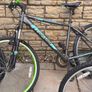 Selection of girls boys and men's bike for sale Image 2