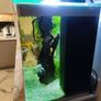 Fluval 150lt aquarium Image 4