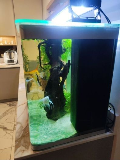 Fluval 150lt aquarium