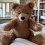 collectors teddy Image 2