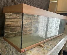 Large 5ft Eheim fish tank