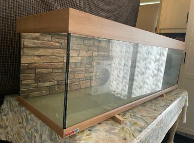 Large 5ft Eheim fish tank