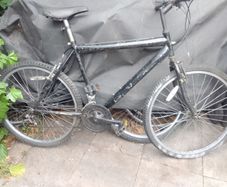 adult bike for sale