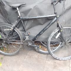 adult bike for sale