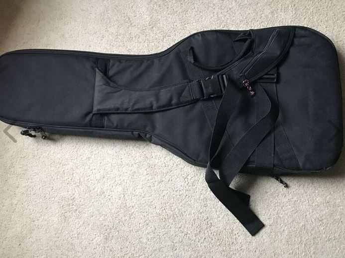 Gator Double Electric Guitar bag