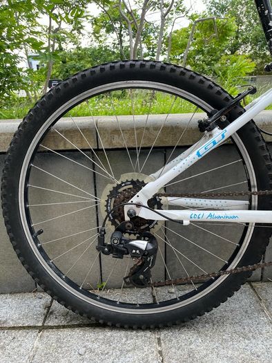 Kids bike GT Laguna