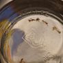 Souvenir Antique Set of 6  Engraved Isle Of Man Shot Glass Image 4