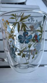 Brand New Glass Mug