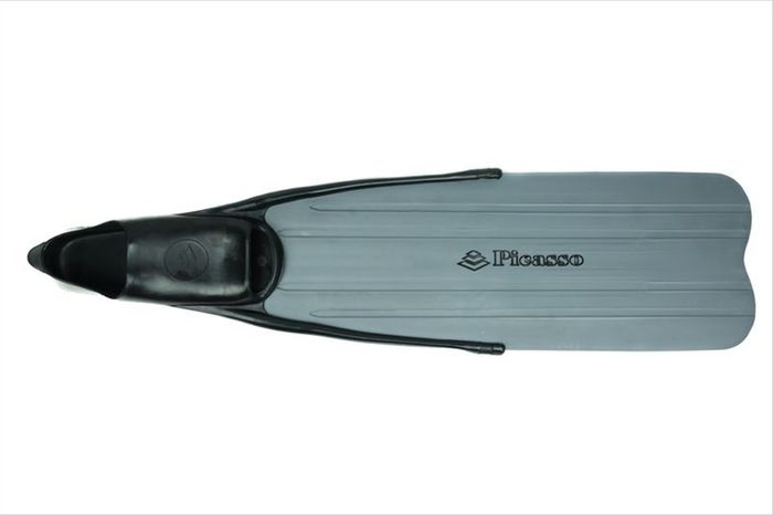 fins