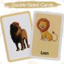 Kids Flash Cards Set Flash Cards for Children Early Learning Flash Cards Flash Cards for Toddlers Age 2-4 Baby Cards for Toddlers 1 2 3 4 years 4 Pack-144pcs Animals Fruits Body Parts & Colors Image 7