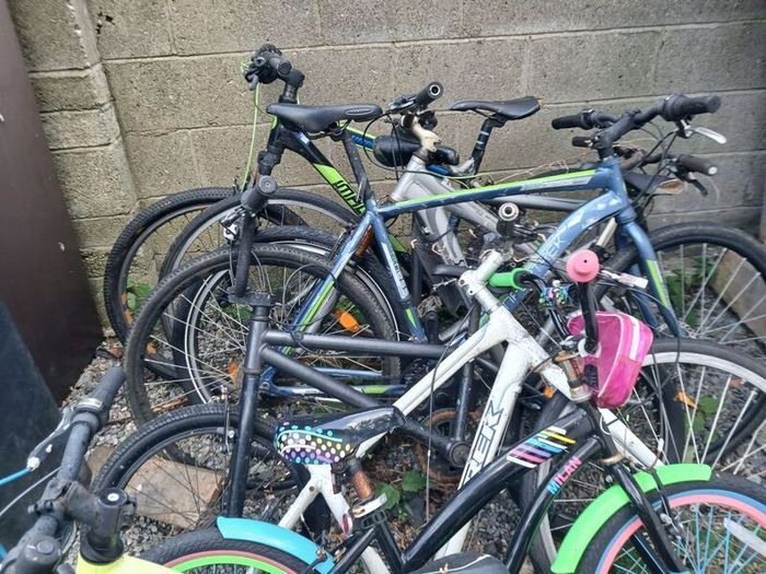 bikes