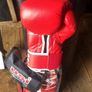Punch bag , bracket, gloves Image 3