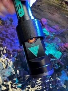 Reef Delete Cruise/Button Control