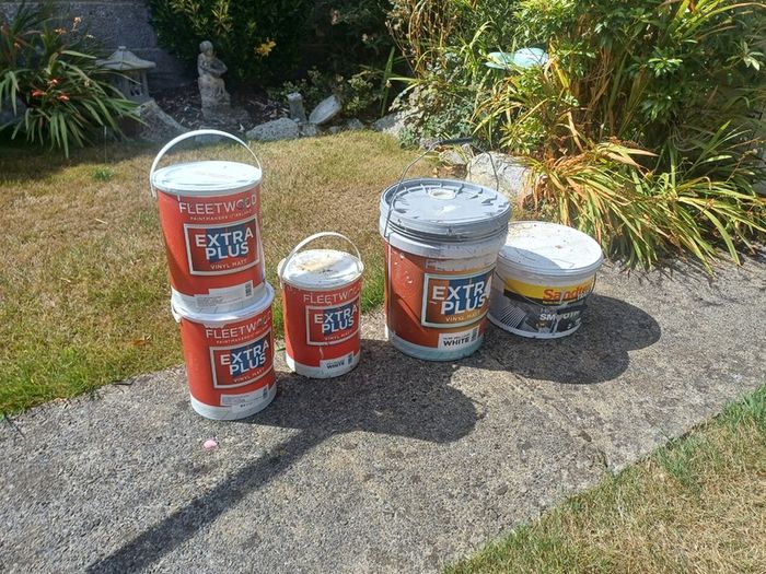 Free Paint