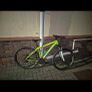 cycle Image 2