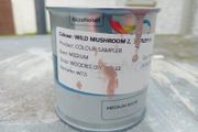 Wild Mushroom 2 Sample Exteroir Paint 250ml