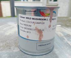 Wild Mushroom 2 Sample Exteroir Paint 250ml