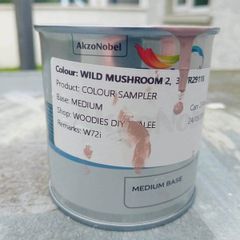 Wild Mushroom 2 Sample Exteroir Paint 250ml