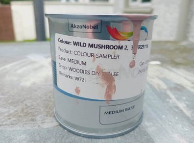 Wild Mushroom 2 Sample Exteroir Paint 250ml