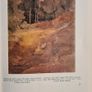 The Norwich School Of Painters. 1803-1833. Large Volume Hardback With Dustjacket In Good Condition. Image 9