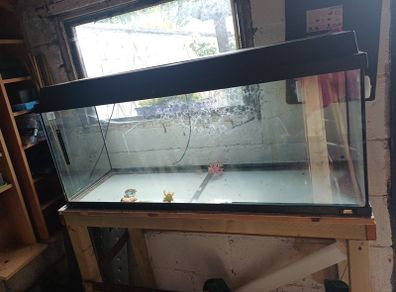 Fish Tank