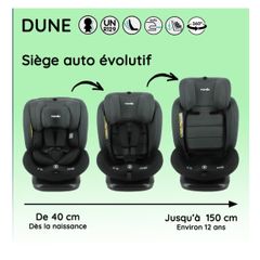 Dune Car Seat