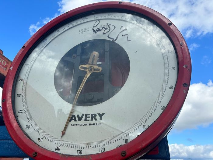 Avery weighting scales