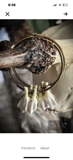 Brass Hoops Earrings with Pretty Deer Teeth Ethically Sourced