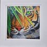Hidden in the leaves | FineArt Print | Framed Image 8