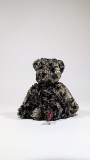 Charlie bears teensy weensy