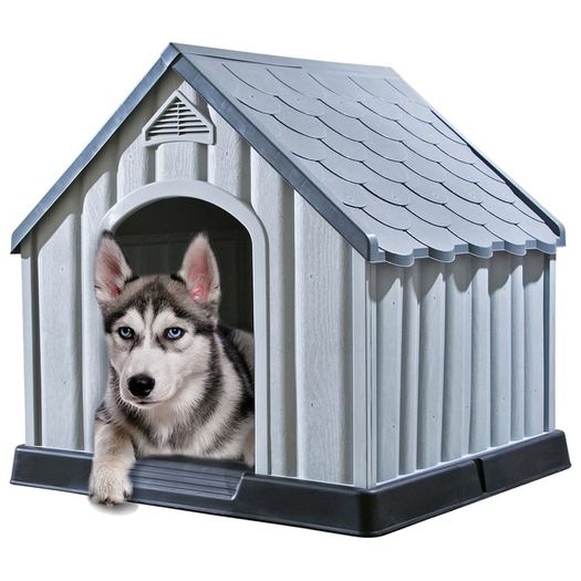 Dog House