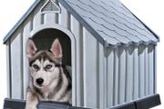 Dog House
