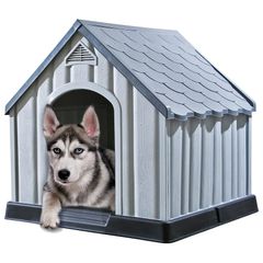 Dog House